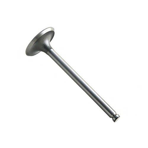 166921 | Intake Valve | Allis Chalmers 160 6040 | Massey Ferguson 20 20 20C 20C 20D 20D 20E 20E 30 30 30B 30B 30D 30E 30E 30H 30H 40 40 50 50 50A 50A 65 65 135 150 154-4 165 200 200 200B 203 203 205 205 230 235 245 250 |  | 72080046 | 732811M1 | 31431281
