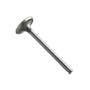 166921 | Intake Valve | Allis Chalmers 160 6040 | Massey Ferguson 20 20 20C 20C 20D 20D 20E 20E 30 30 30B 30B 30D 30E 30E 30H 30H 40 40 50 50 50A 50A 65 65 135 150 154-4 165 200 200 200B 203 203 205 205 230 235 245 250 | | 72080046 | 732811M1 | 31431281 166921 | Intake Valve | Allis Chalmers 160 6040 | Massey Ferguson 20 20 20C 20C 20D 20D 20E 20E 30 30 30B 30B 30D 30E 30E 30H 30H 40 40 50 50 50A 50A 65 65 135 150 154-4 165 200 200 200B 203 203 205 205 230 235 245 250 | | 72080046 | 732811M1 | 31431281