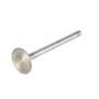 174037 | Intake Valve | Belarus 505 525 530 532 560 562 570 572 800 802 805 820 822 825 900 902 905 920 922 925 1025 5111 5145 8011 8311 8345 9011 9045 9311 | | 240-1007014-B4 174037 | Intake Valve | Belarus 505 525 530 532 560 562 570 572 800 802 805 820 822 825 900 902 905 920 922 925 1025 5111 5145 8011 8311 8345 9011 9045 9311 | | 240-1007014-B4