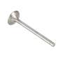174037 | Intake Valve | Belarus 505 525 530 532 560 562 570 572 800 802 805 820 822 825 900 902 905 920 922 925 1025 5111 5145 8011 8311 8345 9011 9045 9311 | | 240-1007014-B4 174037 | Intake Valve | Belarus 505 525 530 532 560 562 570 572 800 802 805 820 822 825 900 902 905 920 922 925 1025 5111 5145 8011 8311 8345 9011 9045 9311 | | 240-1007014-B4