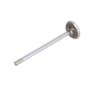 161166 | Intake Valve | Case D188 D207 DT207 W3 W3 W5A W11 W11 310E 310F 310G 310G 350 350 350B 350B 420C 420C 430 430 430CK 450 450 450B 450B 455B 455B 470 480B 480B 480C 480C 480CK 480CK 480D 480D 480LL 480LL 530 530 530CK 530CK | | A38422 | A41726 161166 | Intake Valve | Case D188 D207 DT207 W3 W3 W5A W11 W11 310E 310F 310G 310G 350 350 350B 350B 420C 420C 430 430 430CK 450 450 450B 450B 455B 455B 470 480B 480B 480C 480C 480CK 480CK 480D 480D 480LL 480LL 530 530 530CK 530CK | | A38422 | A41726