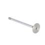161166 | Intake Valve | Case D188 D207 DT207 W3 W3 W5A W11 W11 310E 310F 310G 310G 350 350 350B 350B 420C 420C 430 430 430CK 450 450 450B 450B 455B 455B 470 480B 480B 480C 480C 480CK 480CK 480D 480D 480LL 480LL 530 530 530CK 530CK | | A38422 | A41726 161166 | Intake Valve | Case D188 D207 DT207 W3 W3 W5A W11 W11 310E 310F 310G 310G 350 350 350B 350B 420C 420C 430 430 430CK 450 450 450B 450B 455B 455B 470 480B 480B 480C 480C 480CK 480CK 480D 480D 480LL 480LL 530 530 530CK 530CK | | A38422 | A41726