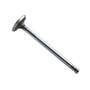 189677 | Intake Valve | Case 301BD 451BDT | | A58869 | A42129 189677 | Intake Valve | Case 301BD 451BDT | | A58869 | A42129
