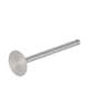 128730 | Intake Valve | Case IH 995 4240 | International | Farmall | IH Hydro 86 TD8 TD8 125 385 454 464 484 485 544 574 584 585 664 674 684 685 686 706 756 784 785 786 826 884 885 886 955 2400A 2400A 2400B 2400B 2500 2500 | | 3055055R1 | 3055055R2 128730 | Intake Valve | Case IH 995 4240 | International | Farmall | IH Hydro 86 TD8 TD8 125 385 454 464 484 485 544 574 584 585 664 674 684 685 686 706 756 784 785 786 826 884 885 886 955 2400A 2400A 2400B 2400B 2500 2500 | | 3055055R1 | 3055055R2