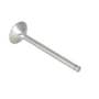 128730 | Intake Valve | Case IH 995 4240 | International | Farmall | IH Hydro 86 TD8 TD8 125 385 454 464 484 485 544 574 584 585 664 674 684 685 686 706 756 784 785 786 826 884 885 886 955 2400A 2400A 2400B 2400B 2500 2500 | | 3055055R1 | 3055055R2 128730 | Intake Valve | Case IH 995 4240 | International | Farmall | IH Hydro 86 TD8 TD8 125 385 454 464 484 485 544 574 584 585 664 674 684 685 686 706 756 784 785 786 826 884 885 886 955 2400A 2400A 2400B 2400B 2500 2500 | | 3055055R1 | 3055055R2