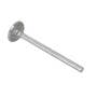 173795 | Intake Valve | International | Farmall | IH D236 D282 414 420 560 560 560 560 606 606 606 656 656 656 660 660 660 660 706 706 706 | | 323774R1 173795 | Intake Valve | International | Farmall | IH D236 D282 414 420 560 560 560 560 606 606 606 656 656 656 660 660 660 660 706 706 706 | | 323774R1