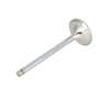 156088 | Intake Valve | Case IH 1640 1660 1680 1822 1844 | International | Farmall | IH D414 D436 DT414 DT436 DT466 DT466B DT466C DTI466 DTI466C Hydro 186 815 915 966 986 1066 1086 1440 1460 1466 1470 1480 1486 1566 | | 675046C4 | 675046C1 | 676046C2 156088 | Intake Valve | Case IH 1640 1660 1680 1822 1844 | International | Farmall | IH D414 D436 DT414 DT436 DT466 DT466B DT466C DTI466 DTI466C Hydro 186 815 915 966 986 1066 1086 1440 1460 1466 1470 1480 1486 1566 | | 675046C4 | 675046C1 | 676046C2