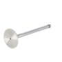 156088 | Intake Valve | Case IH 1640 1660 1680 1822 1844 | International | Farmall | IH D414 D436 DT414 DT436 DT466 DT466B DT466C DTI466 DTI466C Hydro 186 815 915 966 986 1066 1086 1440 1460 1466 1470 1480 1486 1566 | | 675046C4 | 675046C1 | 676046C2 156088 | Intake Valve | Case IH 1640 1660 1680 1822 1844 | International | Farmall | IH D414 D436 DT414 DT436 DT466 DT466B DT466C DTI466 DTI466C Hydro 186 815 915 966 986 1066 1086 1440 1460 1466 1470 1480 1486 1566 | | 675046C4 | 675046C1 | 676046C2