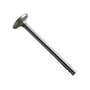 168534 | Intake Valve | Case W8E W9E W10E W10E W18 W18 W20 W20 W20B W20B 267BD 401BD 401BDT 680B 770 970 1150 1150 | | A41966 | A58875 168534 | Intake Valve | Case W8E W9E W10E W10E W18 W18 W20 W20 W20B W20B 267BD 401BD 401BDT 680B 770 970 1150 1150 | | A41966 | A58875