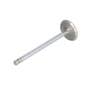 167086 | Intake Valve | Case W14 W14FL W14FL W14H W14H W18B W18B W20C W20C W24 W24B W24B W24C W24C W26B W26B 35B 35B 300C 336BD 336BDT 400C 475 475 504BD 504BDT 600 680E 680E 680G 680G 680H 680H 780CK 780CK 800 800 850B 850B 850C | | A58626 | A41754 167086 | Intake Valve | Case W14 W14FL W14FL W14H W14H W18B W18B W20C W20C W24 W24B W24B W24C W24C W26B W26B 35B 35B 300C 336BD 336BDT 400C 475 475 504BD 504BDT 600 680E 680E 680G 680G 680H 680H 780CK 780CK 800 800 850B 850B 850C | | A58626 | A41754