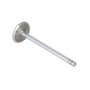 167086 | Intake Valve | Case W14 W14FL W14FL W14H W14H W18B W18B W20C W20C W24 W24B W24B W24C W24C W26B W26B 35B 35B 300C 336BD 336BDT 400C 475 475 504BD 504BDT 600 680E 680E 680G 680G 680H 680H 780CK 780CK 800 800 850B 850B 850C | | A58626 | A41754 167086 | Intake Valve | Case W14 W14FL W14FL W14H W14H W18B W18B W20C W20C W24 W24B W24B W24C W24C W26B W26B 35B 35B 300C 336BD 336BDT 400C 475 475 504BD 504BDT 600 680E 680E 680G 680G 680H 680H 780CK 780CK 800 800 850B 850B 850C | | A58626 | A41754
