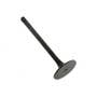 168517 | Intake Valve | FIAT F110 F120 F130 FD7 FD7 FL7 FL7 45-66 45-66DT 55-46 55-46DT 55-56 55-66 55-66DT 55-76 55-76DT 65-46 65-56 65-56DT 70-66 70-66DT 70-66F 70-90DT 110-90 110-90DT 115-90 115-90DT 130-90 | | 4824417 | 1908408 | 4824416 | 4784888 168517 | Intake Valve | FIAT F110 F120 F130 FD7 FD7 FL7 FL7 45-66 45-66DT 55-46 55-46DT 55-56 55-66 55-66DT 55-76 55-76DT 65-46 65-56 65-56DT 70-66 70-66DT 70-66F 70-90DT 110-90 110-90DT 115-90 115-90DT 130-90 | | 4824417 | 1908408 | 4824416 | 4784888