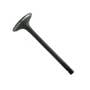 168517 | Intake Valve | FIAT F110 F120 F130 FD7 FD7 FL7 FL7 45-66 45-66DT 55-46 55-46DT 55-56 55-66 55-66DT 55-76 55-76DT 65-46 65-56 65-56DT 70-66 70-66DT 70-66F 70-90DT 110-90 110-90DT 115-90 115-90DT 130-90 | | 4824417 | 1908408 | 4824416 | 4784888 168517 | Intake Valve | FIAT F110 F120 F130 FD7 FD7 FL7 FL7 45-66 45-66DT 55-46 55-46DT 55-56 55-66 55-66DT 55-76 55-76DT 65-46 65-56 65-56DT 70-66 70-66DT 70-66F 70-90DT 110-90 110-90DT 115-90 115-90DT 130-90 | | 4824417 | 1908408 | 4824416 | 4784888
