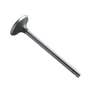 172847 | Intake Valve | Ford 231 233 333 531 531 2100 2110 2120 2300 2310 2600 3055 3100 3120 3190 3300 3310 3330 3500 3500 3550 3550 3600 3900 4100 4110 4190 4200 4330 4340 4410 4500 4500 4600 7700 8400 8700 9000 9200 9600 | | C5NN6507C | D3NN6507B 172847 | Intake Valve | Ford 231 233 333 531 531 2100 2110 2120 2300 2310 2600 3055 3100 3120 3190 3300 3310 3330 3500 3500 3550 3550 3600 3900 4100 4110 4190 4200 4330 4340 4410 4500 4500 4600 7700 8400 8700 9000 9200 9600 | | C5NN6507C | D3NN6507B