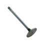 176503 | Intake Valve | Ford BSD444 BSD666 268 304 401 456 5610S 5640 6610 6640 6810 7610 7810S 7840 8160 8240 8260 8340 8360 8560 | New Holland TS80 TS90 7010 8010 | | E9NN6507AC | 81865092 | VPA7270 176503 | Intake Valve | Ford BSD444 BSD666 268 304 401 456 5610S 5640 6610 6640 6810 7610 7810S 7840 8160 8240 8260 8340 8360 8560 | New Holland TS80 TS90 7010 8010 | | E9NN6507AC | 81865092 | VPA7270