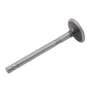 191128 | Intake Valve | International | Farmall | IH C157 C175 C200 C221 C263 C291 C301 Hydro 70 Hydro 86 T6 T6 100 100 151 181 375 403 414 420 453 454 464 544 574 615 616 622 656 666 674 686 706 715 756 766 806 826 856 2400A 2400A 2400B | | 234276R1 191128 | Intake Valve | International | Farmall | IH C157 C175 C200 C221 C263 C291 C301 Hydro 70 Hydro 86 T6 T6 100 100 151 181 375 403 414 420 453 454 464 544 574 615 616 622 656 666 674 686 706 715 756 766 806 826 856 2400A 2400A 2400B | | 234276R1