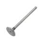 173269 | Intake Valve | International | Farmall | IH D188 D236 D282 504 2504 2504 3514 3514 | | 278301R1 173269 | Intake Valve | International | Farmall | IH D188 D236 D282 504 2504 2504 3514 3514 | | 278301R1