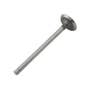 173269 | Intake Valve | International | Farmall | IH D188 D236 D282 504 2504 2504 3514 3514 | | 278301R1 173269 | Intake Valve | International | Farmall | IH D188 D236 D282 504 2504 2504 3514 3514 | | 278301R1