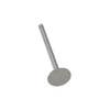 173835 | Intake Valve | International | Farmall | IH C152 C164 C169 C175 H H HV HV O4 OS4 Super H Super HV Super W4 W4 300 350 | | 362534R1 173835 | Intake Valve | International | Farmall | IH C152 C164 C169 C175 H H HV HV O4 OS4 Super H Super HV Super W4 W4 300 350 | | 362534R1
