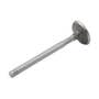 169731 | Intake Valve | International | Farmall | IH 806 856 1026 1256 1456 2806 2856 21206 21256 21456 | | 670812C1 | 670308C1 | 343433R2 169731 | Intake Valve | International | Farmall | IH 806 856 1026 1256 1456 2806 2856 21206 21256 21456 | | 670812C1 | 670308C1 | 343433R2