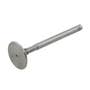 169731 | Intake Valve | International | Farmall | IH D361 D407 DT361 DT407 806 856 1026 1256 1456 2806 2856 21206 21256 21456 | | 670812C1 | 670308C1 | 343433R2 | AV101875 169731 | Intake Valve | International | Farmall | IH D361 D407 DT361 DT407 806 856 1026 1256 1456 2806 2856 21206 21256 21456 | | 670812C1 | 670308C1 | 343433R2 | AV101875