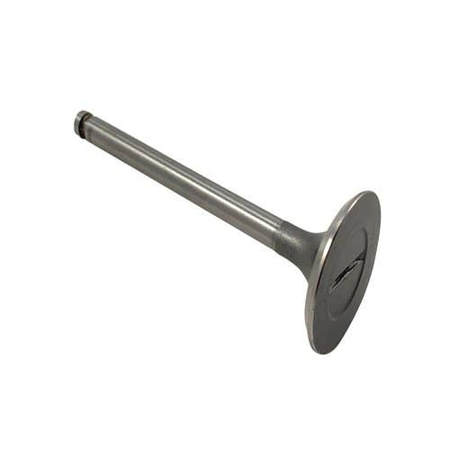 186535 | Intake Valve | John Deere 950 950 | Yanmar YM195 YM195D YM240 YM240D YM330 YM330D YM336 YM1600 YM1700 YM1900 YM2000 YM2210 YM3000 YM3110 |  | CH10094 | 104600-11100