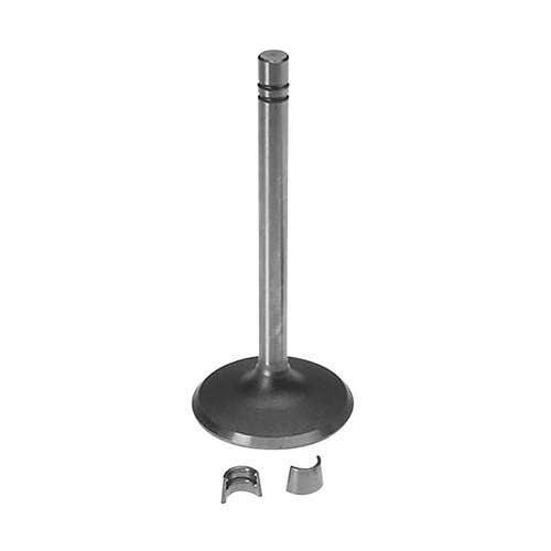 Intake Valve fits John Deere 500 600 3010 3020 4010 4020 500 500A 500B 105 500 500A 500B 600 R26109 Intake Valve fits John Deere 500 600 3010 3020 4010 4020 500 500A 500B 105 500 500A 500B 600 R26109