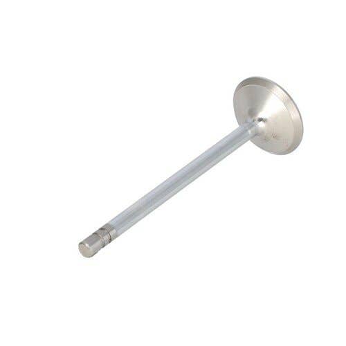 166189 | Intake Valve | John Deere 270 270 404 500 500 500A 500A 500B 500B 500C 500C 510 510 600 600 644 644 644A 644A 690 690 690A 690A 3010 3020 4000 4020 4040 4050 4230 4240 4250 4320 4440 4450 4520 5200 6404A 6404T 6466D 6600 6602 6620 |  | R43883