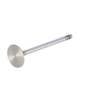 156102 | Intake Valve | John Deere 4320 4520 4620 5200 5400 7020 | | R43914 156102 | Intake Valve | John Deere 4320 4520 4620 5200 5400 7020 | | R43914