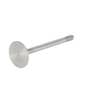 128629 | Intake Valve | John Deere 152 202 210 210 300 300 301 301 302 302 310 315 315 340 340 344 344 350 350 355 355 380 400 400 401 401 410 410B 410B 415 415 440 440 440A 440A 440C 440C 444 444 444C 444C 444D 444D 450 455 455 480 480 482 | | R79623 128629 | Intake Valve | John Deere 152 202 210 210 300 300 301 301 302 302 310 315 315 340 340 344 344 350 350 355 355 380 400 400 401 401 410 410B 410B 415 415 440 440 440A 440A 440C 440C 444 444 444C 444C 444D 444D 450 455 455 480 480 482 | | R79623