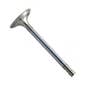 167253 | Intake Valve | John Deere 310C 310C 315C 340D 340D 344E 344E 410C 410C 440C 440C 440D 444D 444D 444E 444E 448D 450D 450D 450E 450E 450G 450G 455D 455D 455E 455E 455G 455G 484 490 490 490D 490D 493D 495D 495D 510B 510B 510C | | R83071 | R89219 167253 | Intake Valve | John Deere 310C 310C 315C 340D 340D 344E 344E 410C 410C 440C 440C 440D 444D 444D 444E 444E 448D 450D 450D 450E 450E 450G 450G 455D 455D 455E 455E 455G 455G 484 490 490 490D 490D 493D 495D 495D 510B 510B 510C | | R83071 | R89219