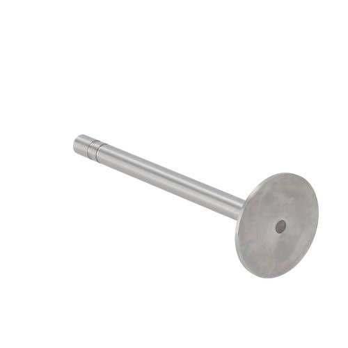 169003 | Intake Valve | John Deere 180 202 219 300 300 300B 300B 301 301 301A 301A 302 302 302A 302A 350 350 350B 350B 380 400 400 401 401 401B 401B 401C 401C 410 440 440 440A 440A 440B 450 480 480 480A 480A 480B 480B 1020 1520 2020 2020 2030 |  | T25466