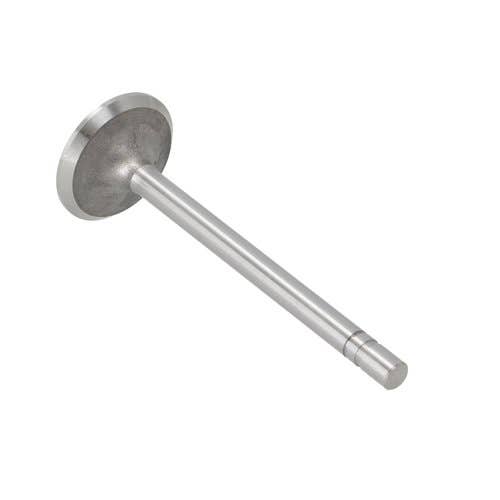 169003 | Intake Valve | John Deere 180 202 219 300 300 300B 300B 301 301 301A 301A 302 302 302A 302A 350 350 350B 350B 380 400 400 401 401 401B 401B 401C 401C 410 440 440 440A 440A 440B 450 480 480 480A 480A 480B 480B 1020 1520 2020 2020 2030 |  | T25466