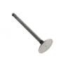 173208 | Intake Valve | Landini C4500 | Massey Ferguson 20 20C 20C 30B 30B 40 135 203 205 230 235 235 235 245 245 250 2135 | Perkins 4.236 | | 739060M1 | 739060M1 | 31431511 | 745534M1 | 745534M1 | 31431981 | 745534V1 | VPA1080 173208 | Intake Valve | Landini C4500 | Massey Ferguson 20 20C 20C 30B 30B 40 135 203 205 230 235 235 235 245 245 250 2135 | Perkins 4.236 | | 739060M1 | 739060M1 | 31431511 | 745534M1 | 745534M1 | 31431981 | 745534V1 | VPA1080
