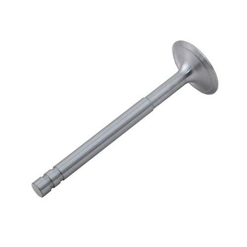 173211 | Intake Valve | Massey Ferguson 65 65 165 3165 3165 |  | 1019742M1 | 830761M91
