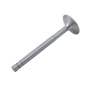 173211 | Intake Valve | Massey Ferguson 65 65 165 3165 3165 | | 1019742M1 | 830761M91 173211 | Intake Valve | Massey Ferguson 65 65 165 3165 3165 | | 1019742M1 | 830761M91