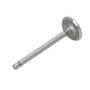 173203 | Intake Valve | Massey Ferguson TO35 35X | | 1884123M1 | 826168M1 | VPA1030 173203 | Intake Valve | Massey Ferguson TO35 35X | | 1884123M1 | 826168M1 | VPA1030