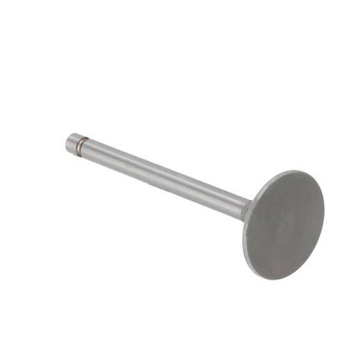 173203 | Intake Valve | Massey Ferguson TO35 35X |  | 1884123M1 | 826168M1 | VPA1030