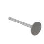 173203 | Intake Valve | Massey Ferguson TO35 35X | | 1884123M1 | 826168M1 | VPA1030 173203 | Intake Valve | Massey Ferguson TO35 35X | | 1884123M1 | 826168M1 | VPA1030