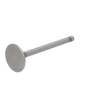173203 | Intake Valve | Massey Ferguson TO35 35X | | 1884123M1 | 826168M1 | VPA1030 173203 | Intake Valve | Massey Ferguson TO35 35X | | 1884123M1 | 826168M1 | VPA1030