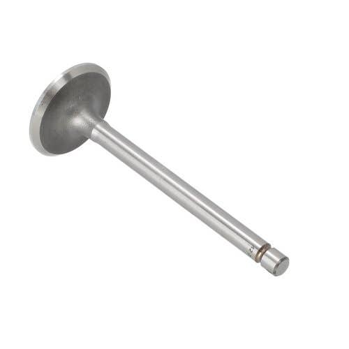 173203 | Intake Valve | Massey Ferguson TO35 35X |  | 1884123M1 | 826168M1 | VPA1030