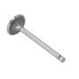 173203 | Intake Valve | Massey Ferguson TO35 35X | | 1884123M1 | 826168M1 | VPA1030 173203 | Intake Valve | Massey Ferguson TO35 35X | | 1884123M1 | 826168M1 | VPA1030