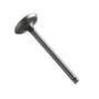 166895 | Intake Valve | Massey Ferguson 70 70 285 298 540 698 1080 1085 | | 738095M1 | 738095V1 | 31431154 166895 | Intake Valve | Massey Ferguson 70 70 285 298 540 698 1080 1085 | | 738095M1 | 738095V1 | 31431154