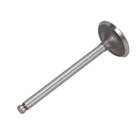 173373 | Intake Valve | Massey Ferguson 20 20 40 40 135 150 2500 2500 | Perkins A3.152 | | 739641M1 | 31431741 | 737028M1