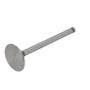 173373 | Intake Valve | Massey Ferguson 20 20 40 40 135 150 2500 2500 | Perkins A3.152 | | 739641M1 | 31431741 | 737028M1 173373 | Intake Valve | Massey Ferguson 20 20 40 40 135 150 2500 2500 | Perkins A3.152 | | 739641M1 | 31431741 | 737028M1