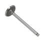 173373 | Intake Valve | Massey Ferguson 20 20 40 40 135 150 2500 2500 | Perkins A3.152 | | 739641M1 | 31431741 | 737028M1 173373 | Intake Valve | Massey Ferguson 20 20 40 40 135 150 2500 2500 | Perkins A3.152 | | 739641M1 | 31431741 | 737028M1