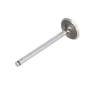 108494 | Intake Valve | Massey Ferguson 65 500 500 760 860 1150 1155 2745 | Perkins V8.510 V8.540 | | 740863M1 | 31431821 108494 | Intake Valve | Massey Ferguson 65 500 500 760 860 1150 1155 2745 | Perkins V8.510 V8.540 | | 740863M1 | 31431821
