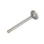 128697 | Intake Valve | Oliver Super 55 Super 77 Super 88 77 88 770 880 | Waukesha G155 G216 G231 | | 106096A 128697 | Intake Valve | Oliver Super 55 Super 77 Super 88 77 88 770 880 | Waukesha G155 G216 G231 | | 106096A