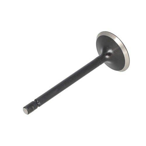 124139 | Intake Valve | Ford 1920 2120 3415 | New Holland G6030 G6035 L150 L160 L170 L175 L465 L565 LS150 LS160 LS170 LX485 LX565 MC35 T1510 T1520 T2210 T2220 T2310 T2320 T2330 T2410 T2420 TC31 TC34DA TC35 TC35D TC35DA TC40 TC40D TC40DA |  | SBA120166350