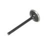 124139 | Intake Valve | Ford 1920 2120 3415 | New Holland G6030 G6035 L150 L160 L170 L175 L465 L565 LS150 LS160 LS170 LX485 LX565 MC35 T1510 T1520 T2210 T2220 T2310 T2320 T2330 T2410 T2420 TC31 TC34DA TC35 TC35D TC35DA TC40 TC40D TC40DA | | SBA120166350 124139 | Intake Valve | Ford 1920 2120 3415 | New Holland G6030 G6035 L150 L160 L170 L175 L465 L565 LS150 LS160 LS170 LX485 LX565 MC35 T1510 T1520 T2210 T2220 T2310 T2320 T2330 T2410 T2420 TC31 TC34DA TC35 TC35D TC35DA TC40 TC40D TC40DA | | SBA120166350